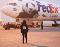 L’arrivée du FedEx Panda Express. Publié le 25/01/12. Saint-Aignan